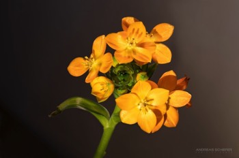 Stacks Image 1229