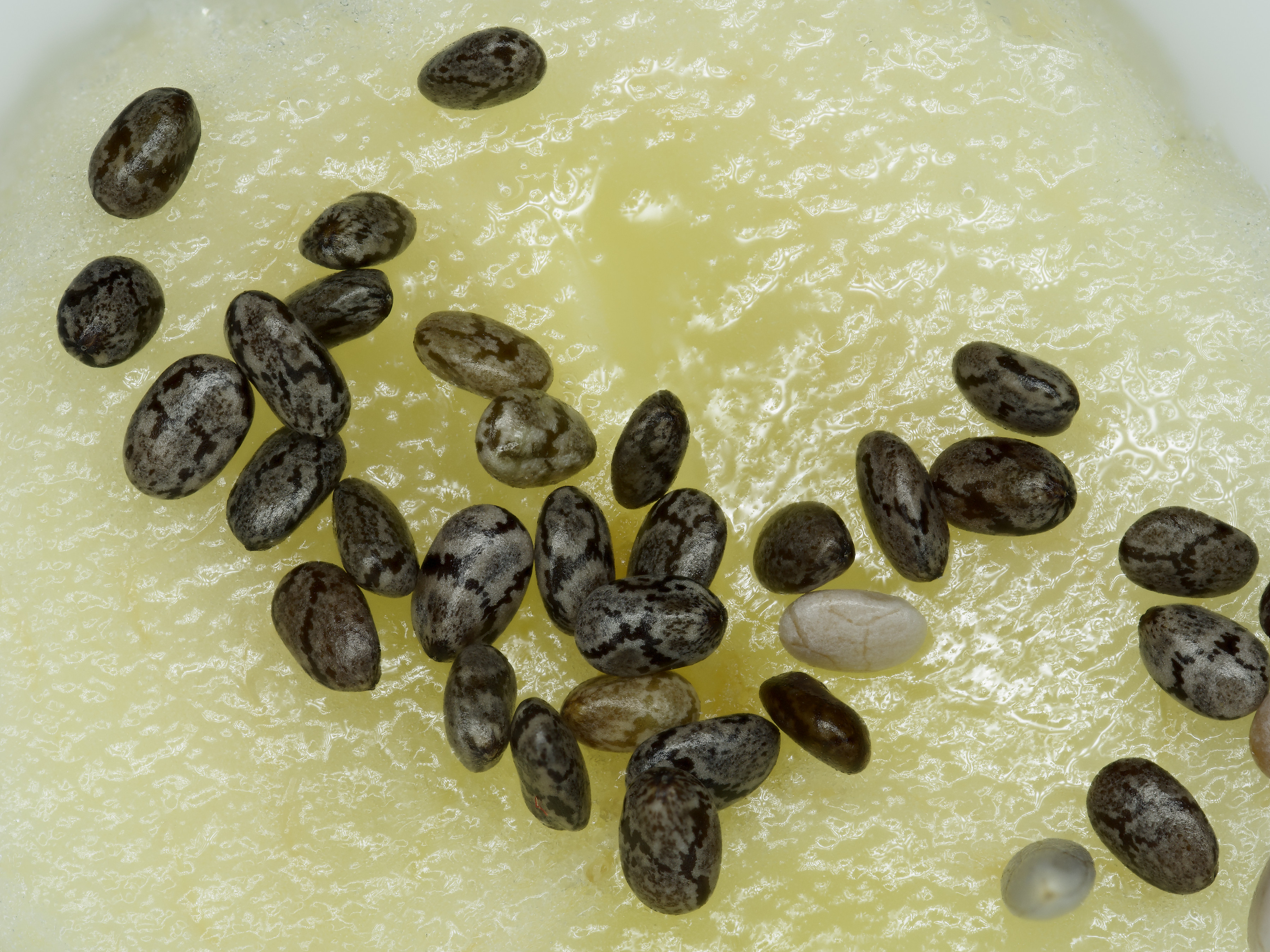 Quinoa auf Bananenscheibe
