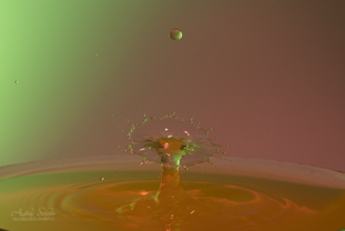 20210106_144225_ASR010264.jpg