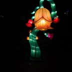 20171219_011507_87098.jpg