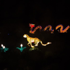 20171219_025445_87293.jpg
