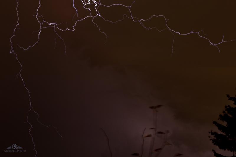 Stacks Image 47