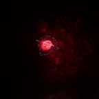 20150711_234226_42178.jpg