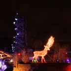 20221221_175225_ASR5-032312.jpg