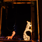 20221221_181342_ASR5-032350.jpg