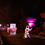 20221221_201901_ASR5-032458.jpg