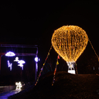20221221_203218_ASR5-032493.jpg