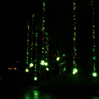 20221221_204341_ASR5-032511.jpg