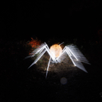20221229_181849_ASR5-033008.jpg