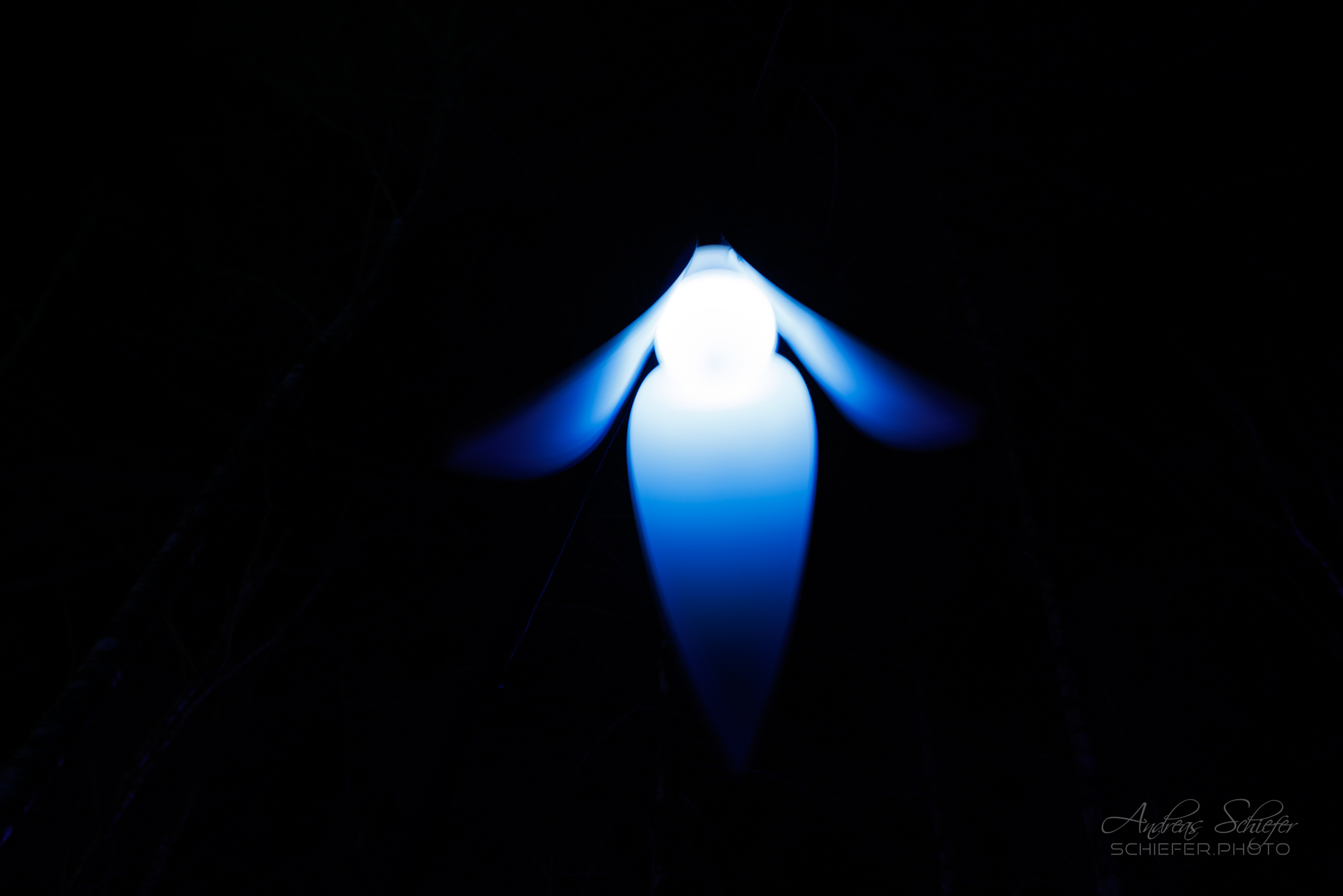 20221229_182844_ASR5-033030.jpg