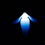 20221229_182844_ASR5-033030.jpg