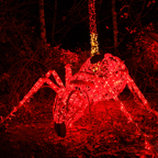 20221229_185049_ASR5-033059.jpg