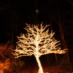 20221229_190208_ASR5-033071.jpg