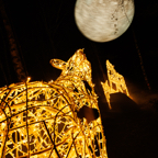 20221229_190859_ASR5-033084.jpg