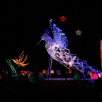 20221229_195331_ASR5-033163.jpg