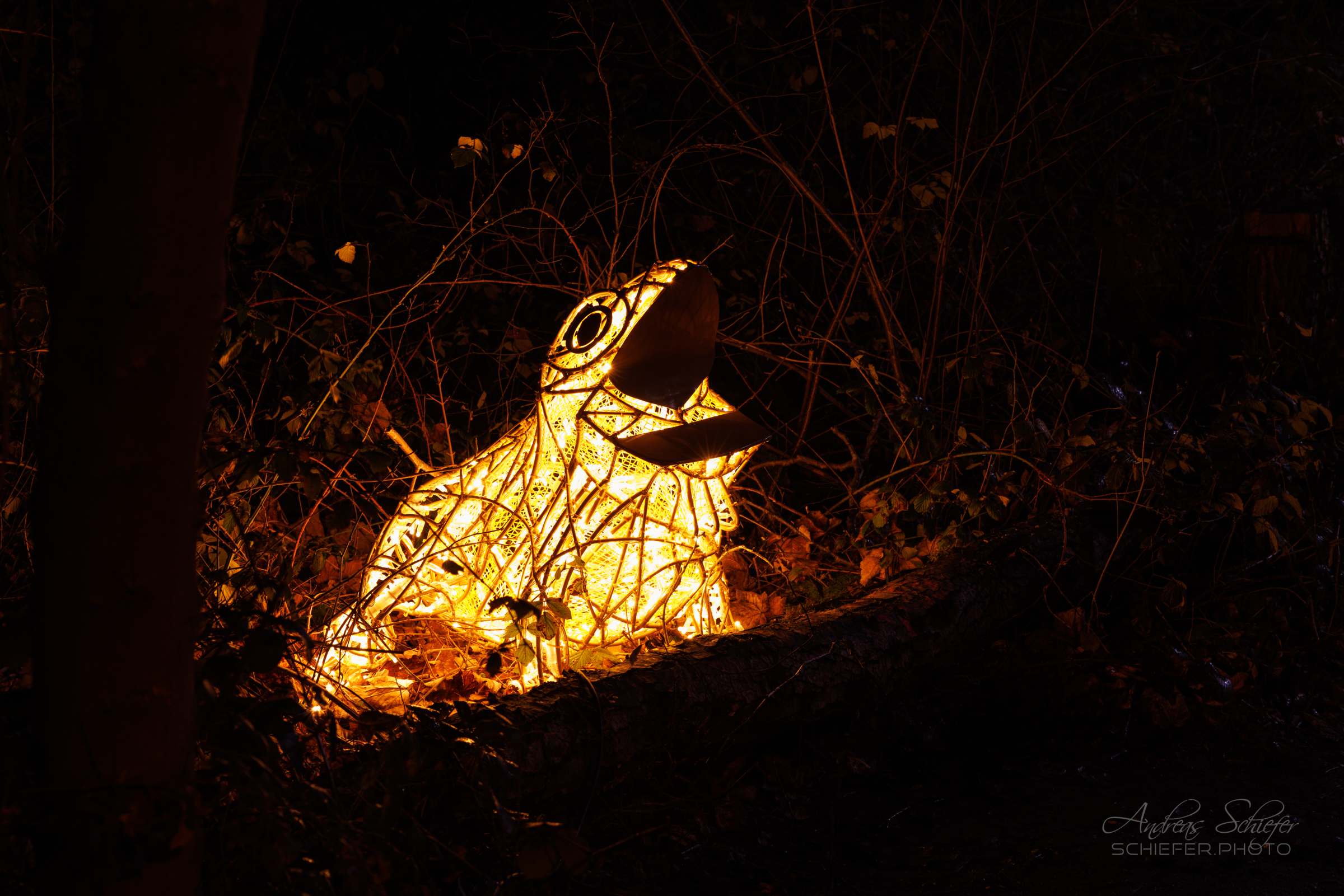 20221229_201308_ASR5-033196.jpg