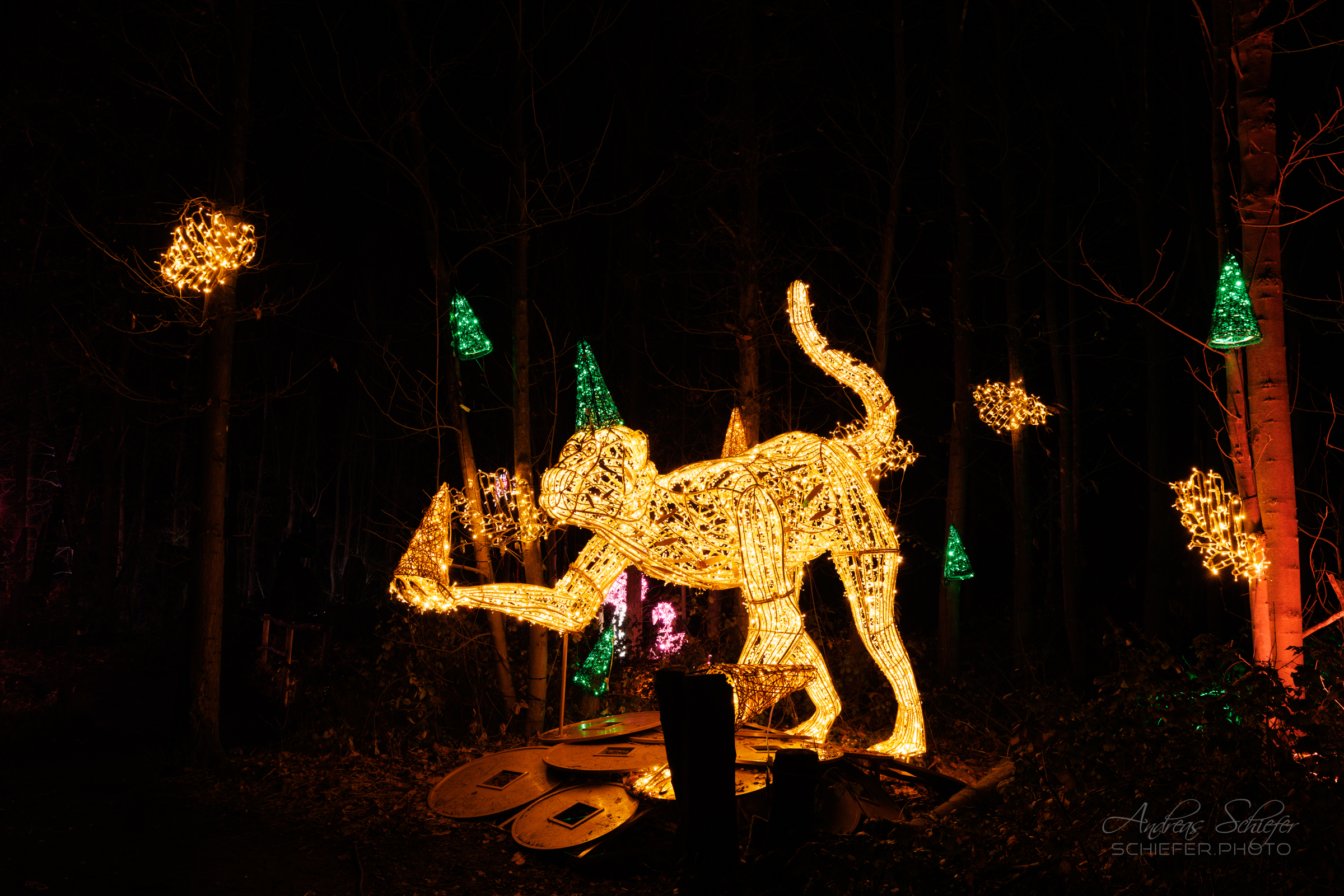 20221229_202012_ASR5-033209.jpg