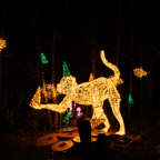 20221229_202012_ASR5-033209.jpg