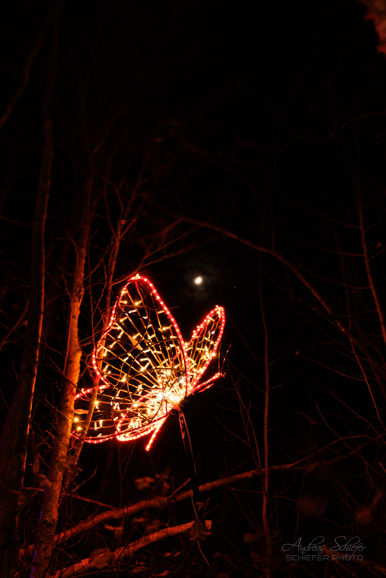20221229_204021_ASR5-033247.jpg