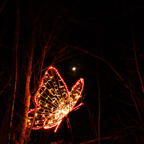 20221229_204021_ASR5-033247.jpg