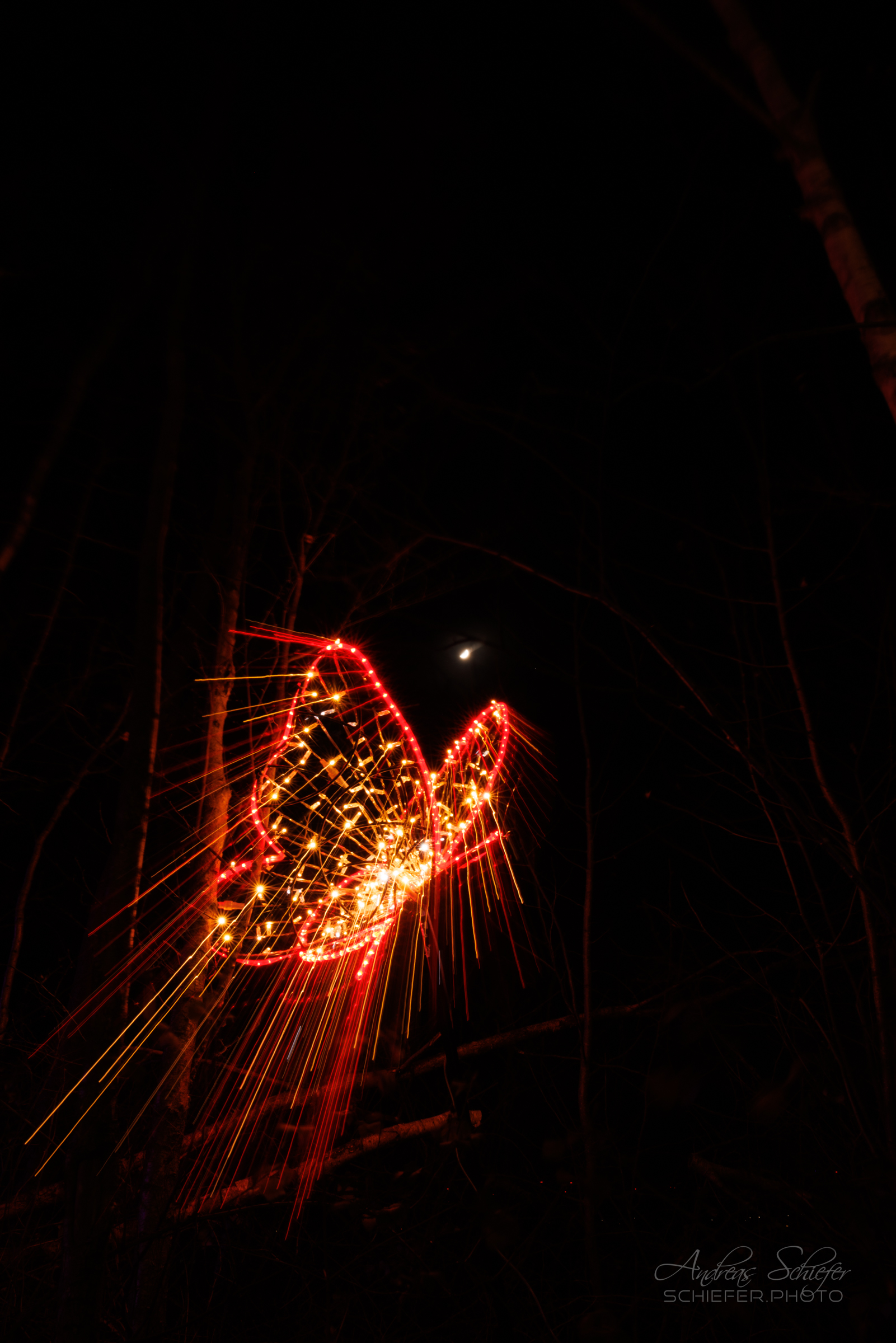 20221229_204222_ASR5-033250.jpg