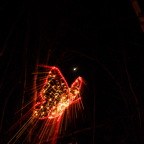 20221229_204222_ASR5-033250.jpg