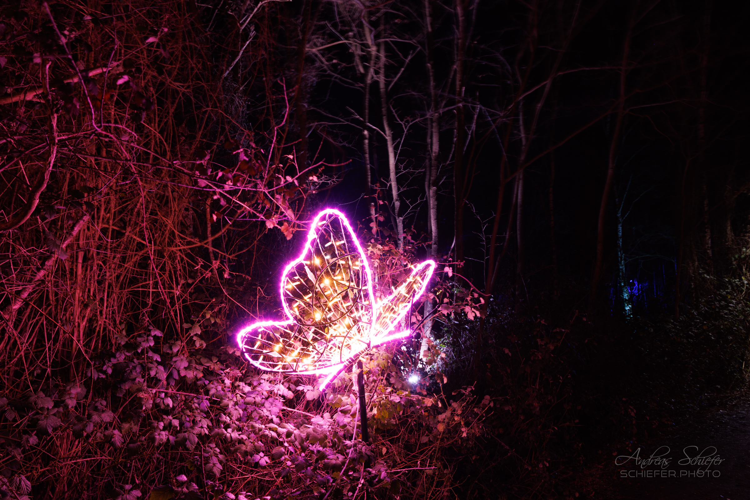 20221229_204514_ASR5-033253.jpg