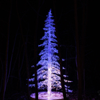 20221229_205907_ASR5-033277.jpg