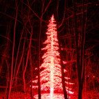 20221229_210023_ASR5-033283.jpg