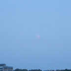 20180727_220735_91521-1.jpg