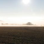 20120301_081416_6295 Panorama zugeschnitten 1.jpg