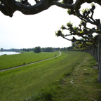 20140425_175213_17434.jpg