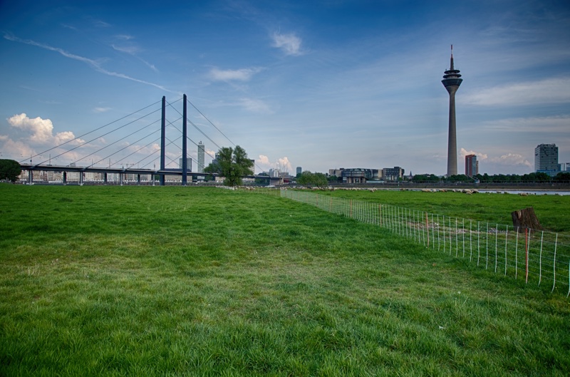 20140425_183124_17521_HDR.jpg