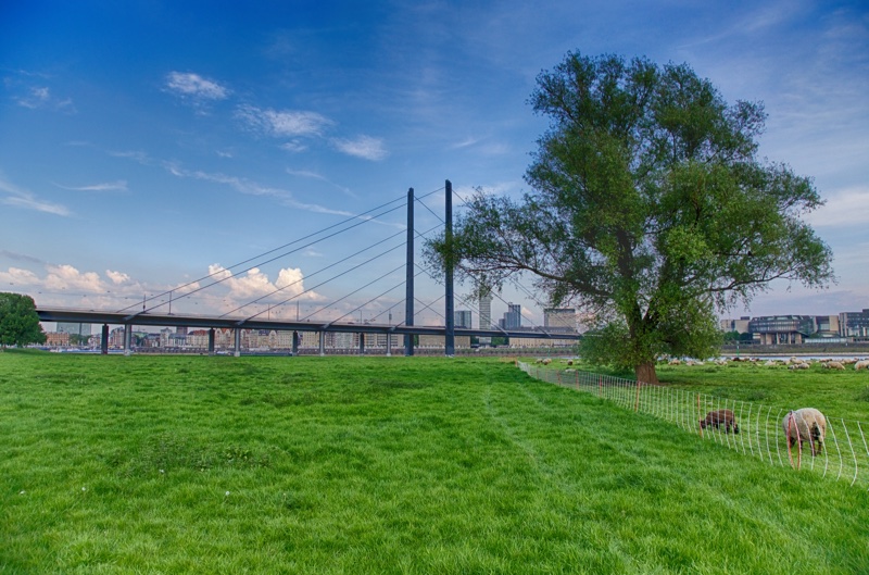 20140425_184120_17589_HDR.jpg