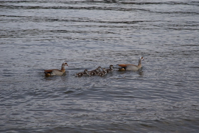 20140425_190147_17748.jpg