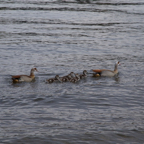 20140425_190147_17748.jpg