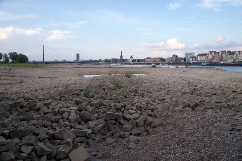 20140425_190630_17794.jpg