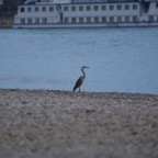 20140425_194055_17981.jpg