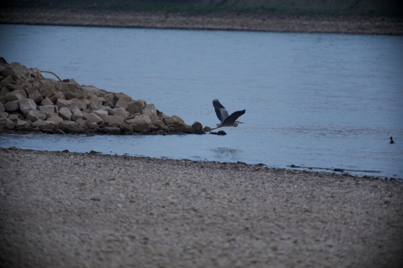 20140425_194126_17985.jpg