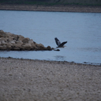 20140425_194126_17985.jpg