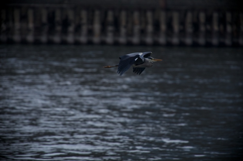 20140425_194147_17997.jpg