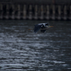 20140425_194147_17997.jpg