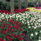 20170430_170307_01282.jpg