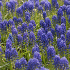 20170430_170615_75969.jpg