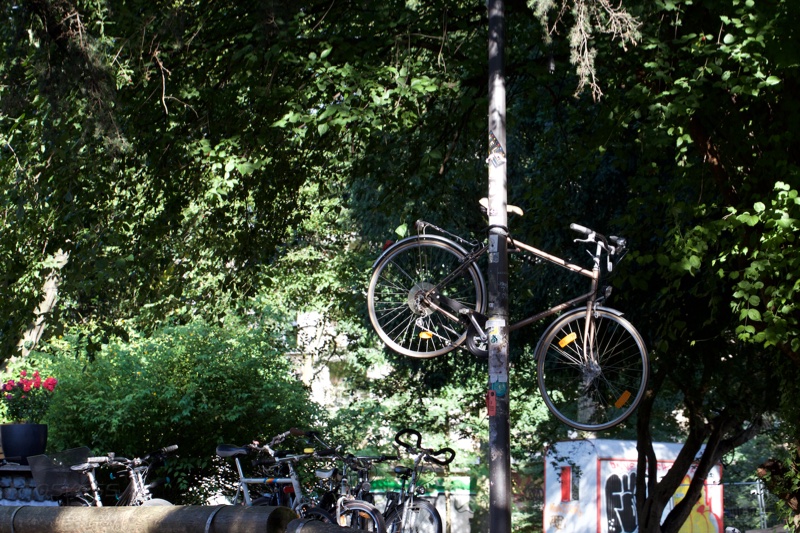 20150829_173143_45883.jpg