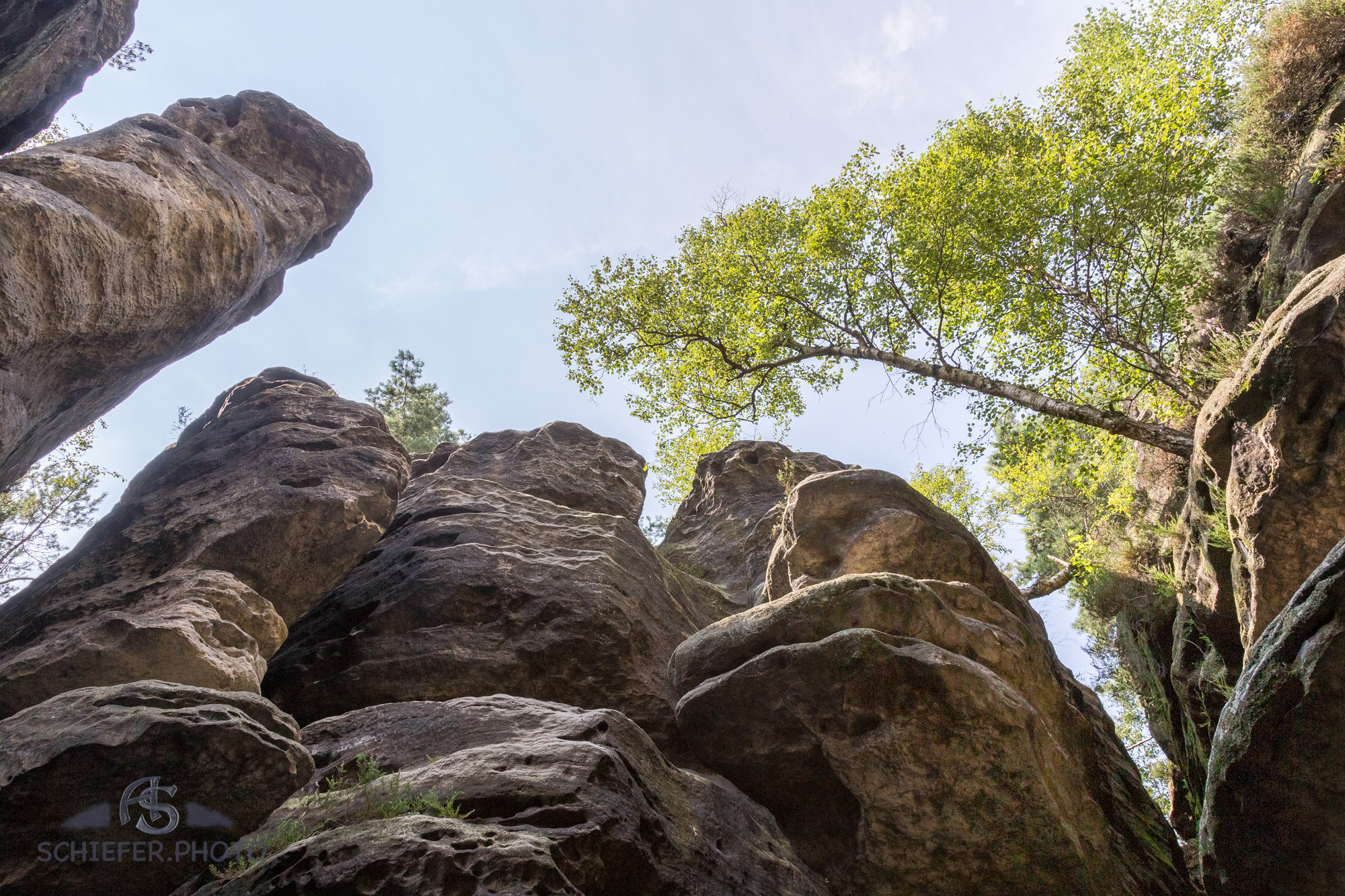 20160801_134543_59267-HDR.jpg