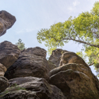 20160801_134543_59267-HDR.jpg