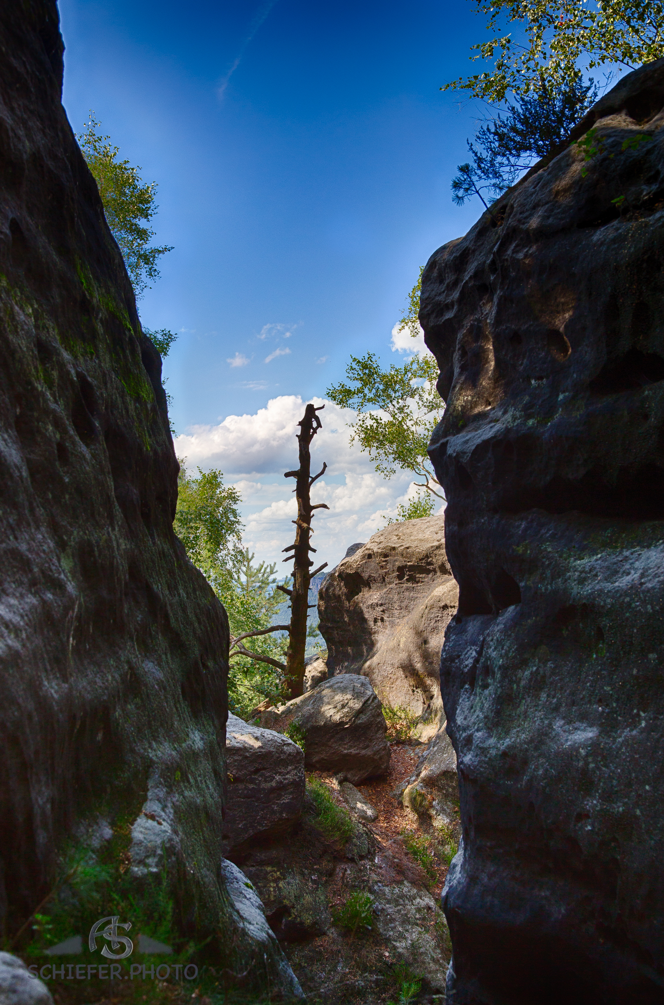 20160801_153331_59608_HDR.jpg