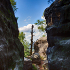 20160801_153331_59608_HDR.jpg