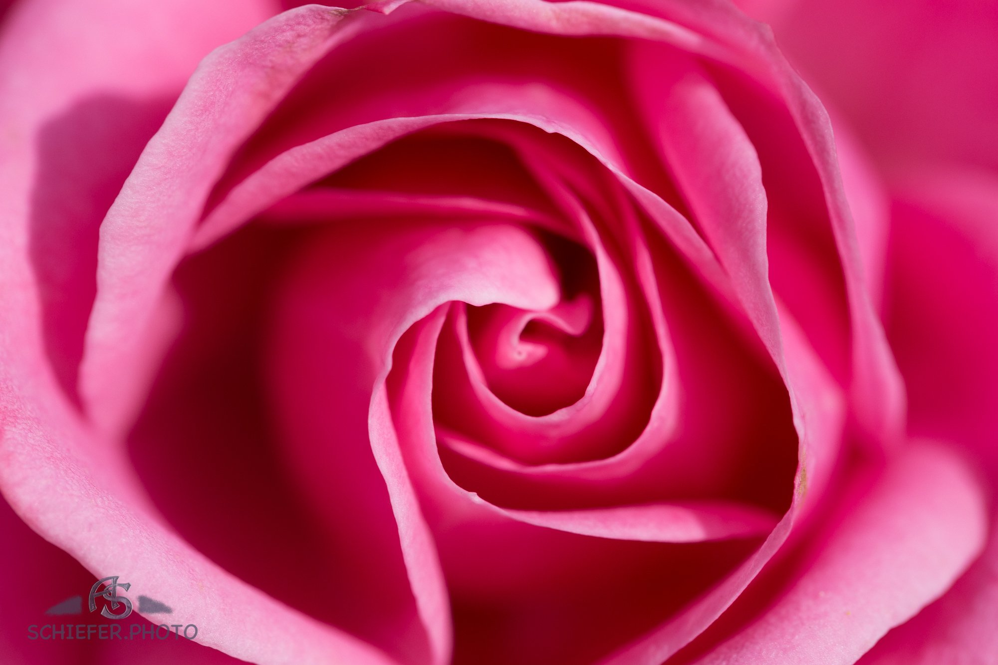 20160804_152741_61750.jpg